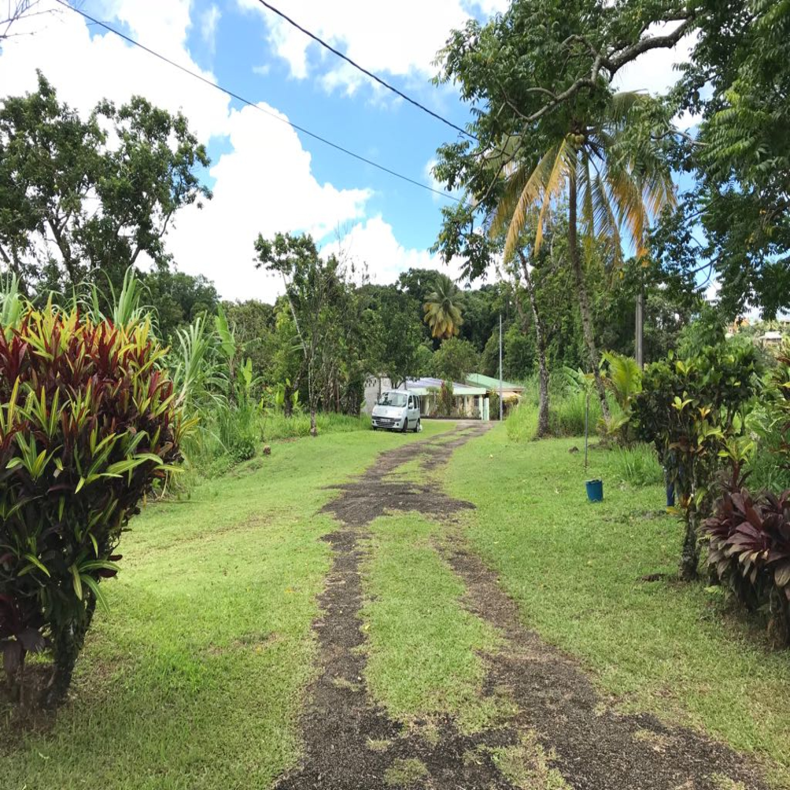 vente Terrain à bâtir 641 m² GROS MORNE Conseils Immo Martinique