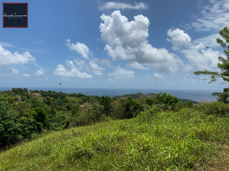 Terrains à vendre en Martinique, achat Terrain Martinique Conseils