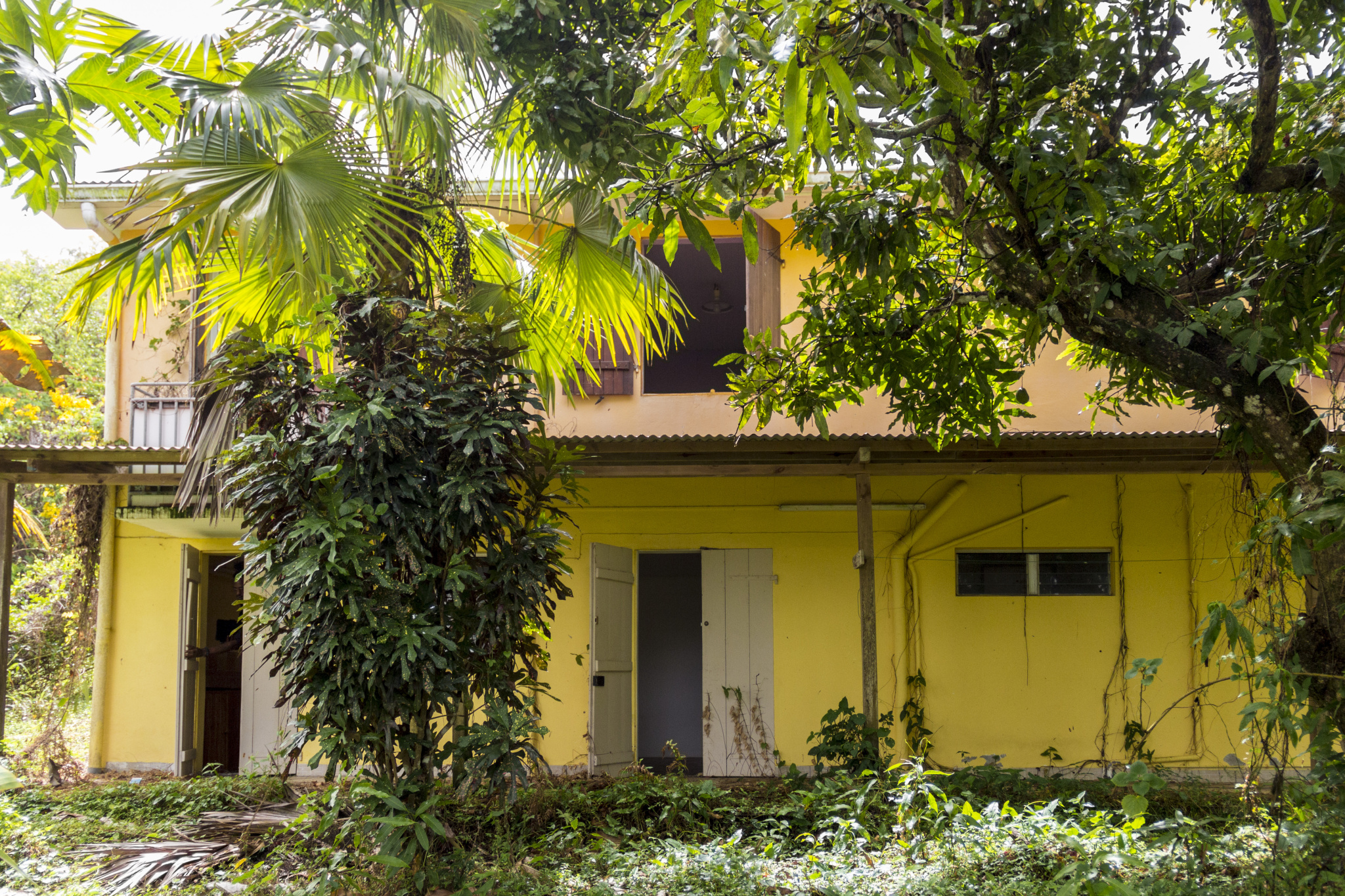 Villa de 170 m2 avec vue mer et maison F2 sur 4 996 m2 en ve — Le Marin