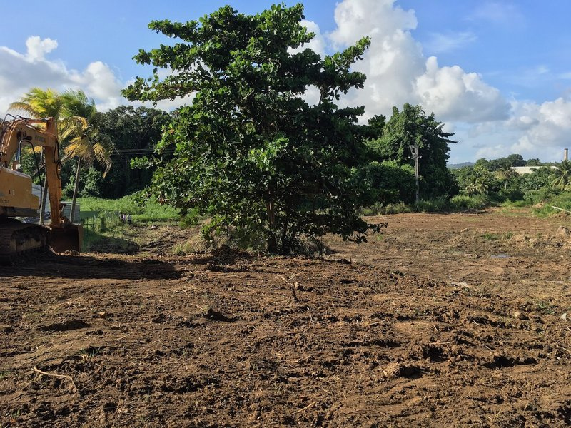 Terrain de 4 012 m2 - LAMENTIN (Le) — Le Lamentin