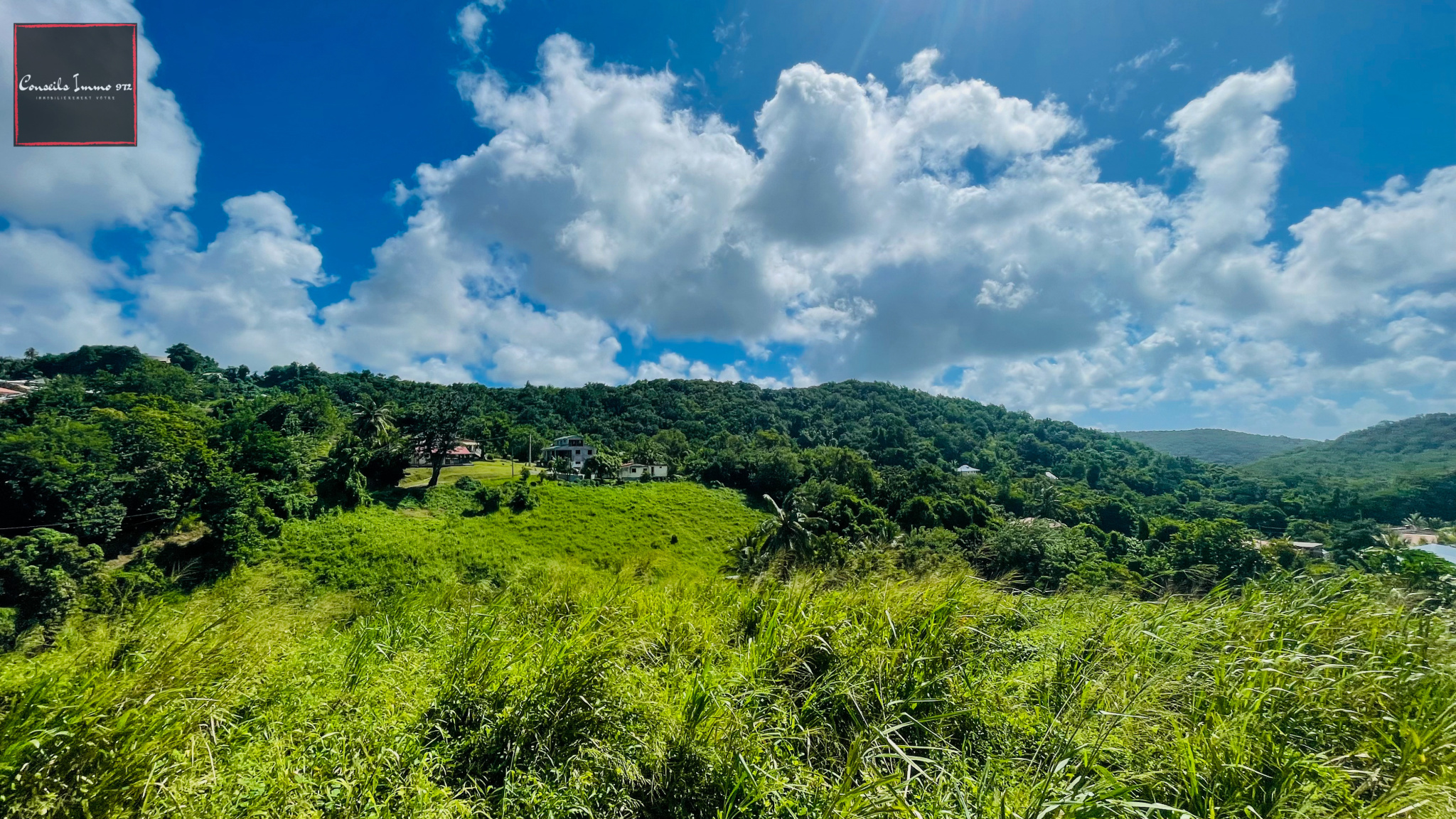 Terrain Constructible à Vendre - 7 823 m2 - Entre Rivière-Sa — photo 4