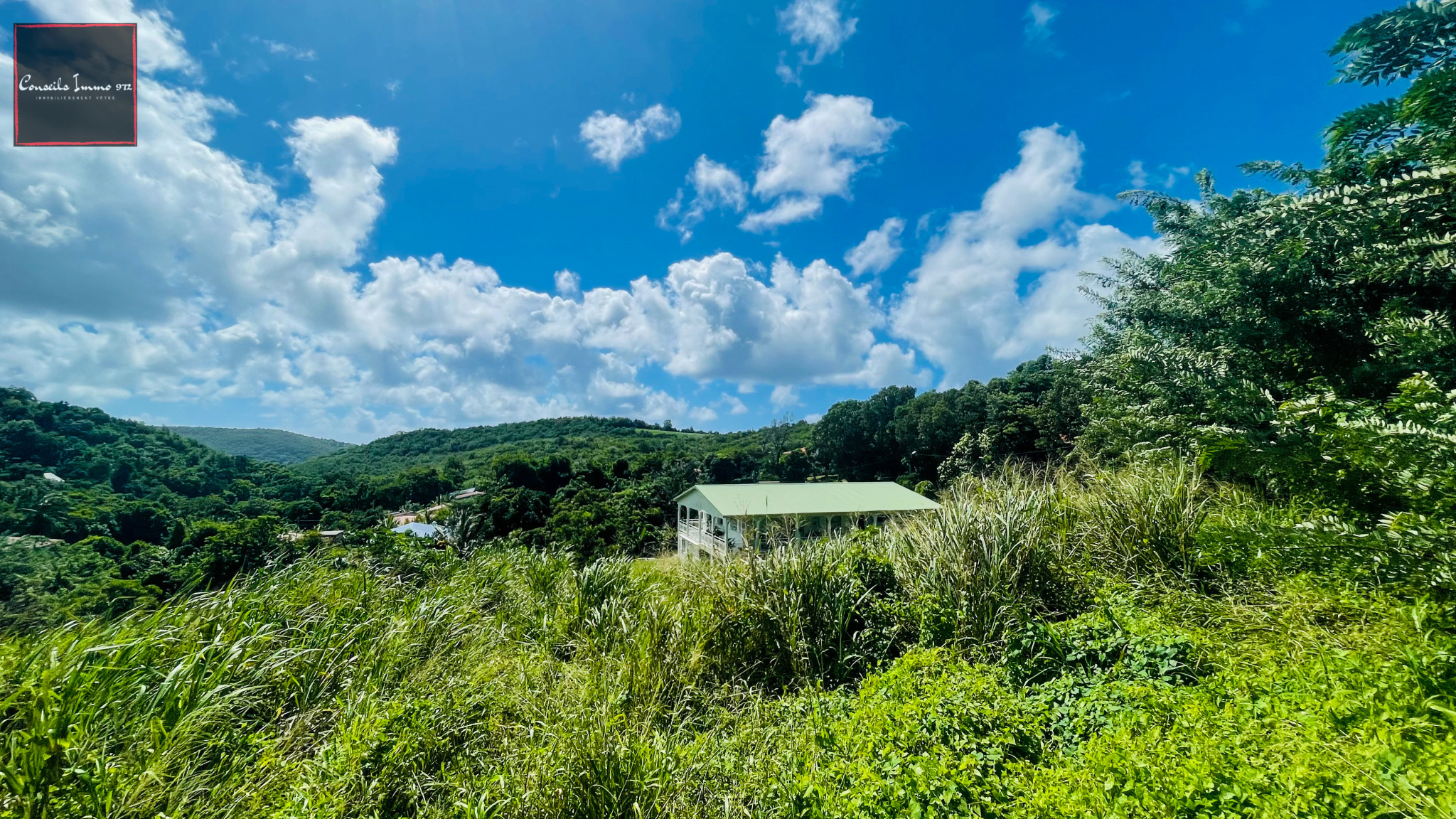 Terrain Constructible à Vendre - 7 823 m2 - Entre Rivière-Sa — photo 3
