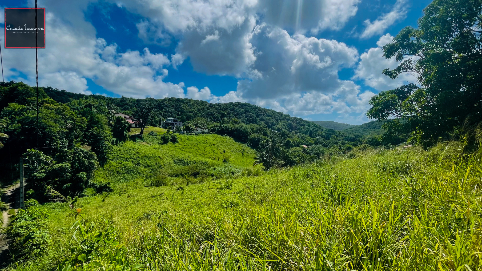 Terrain Constructible à Vendre - 7 823 m2 - Entre Rivière-Sa — Rivière-Salée