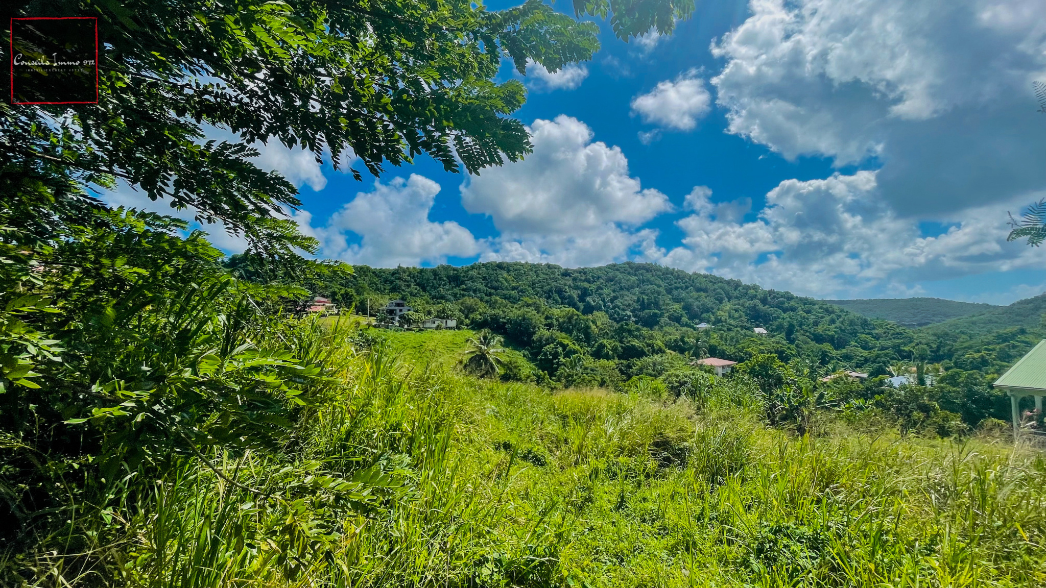 Terrain Constructible à Vendre - 7 823 m2 - Entre Rivière-Sa — photo 6