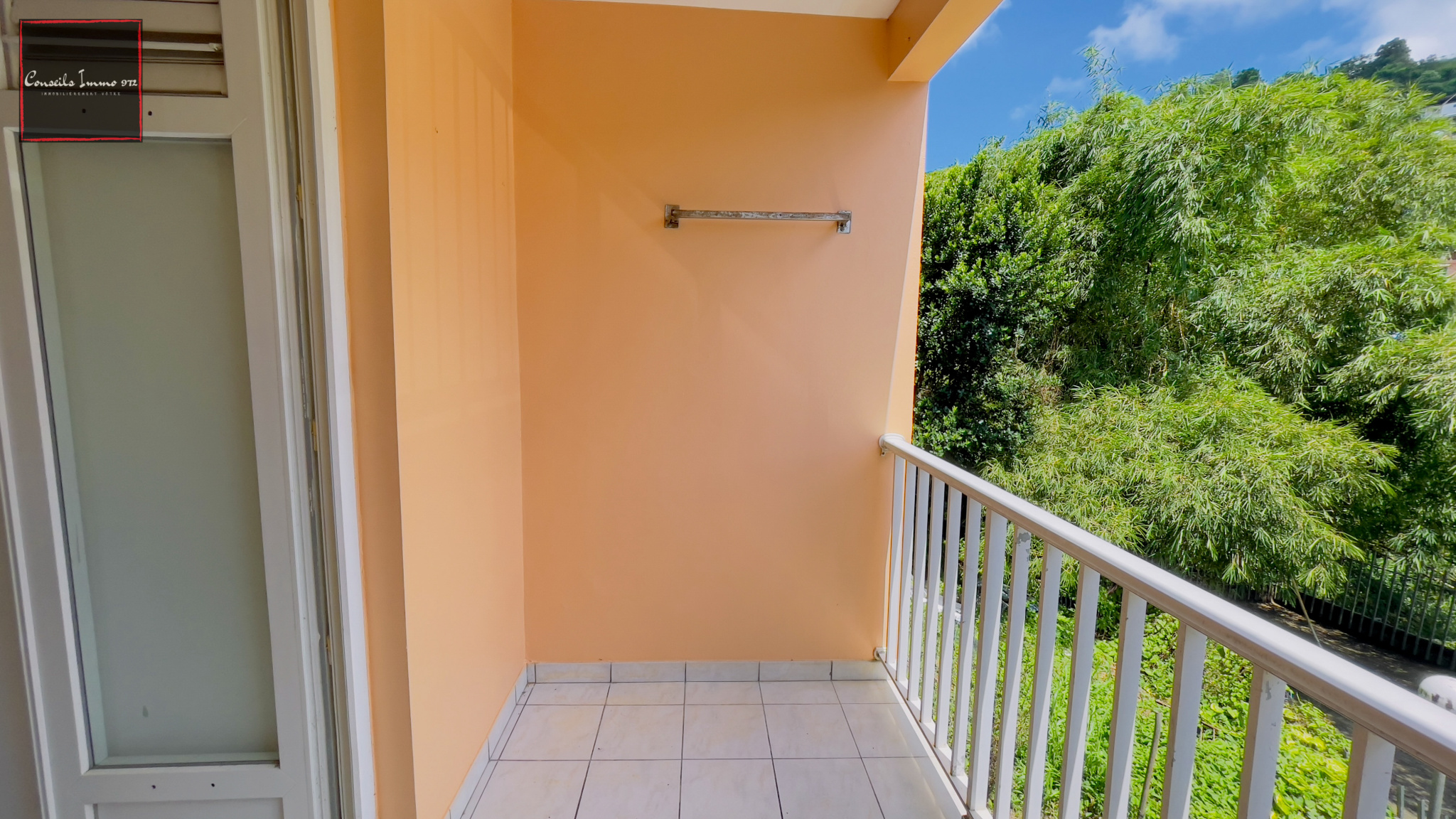 Appartement T2 - Rte de Balata - Fort-De-France — photo 5