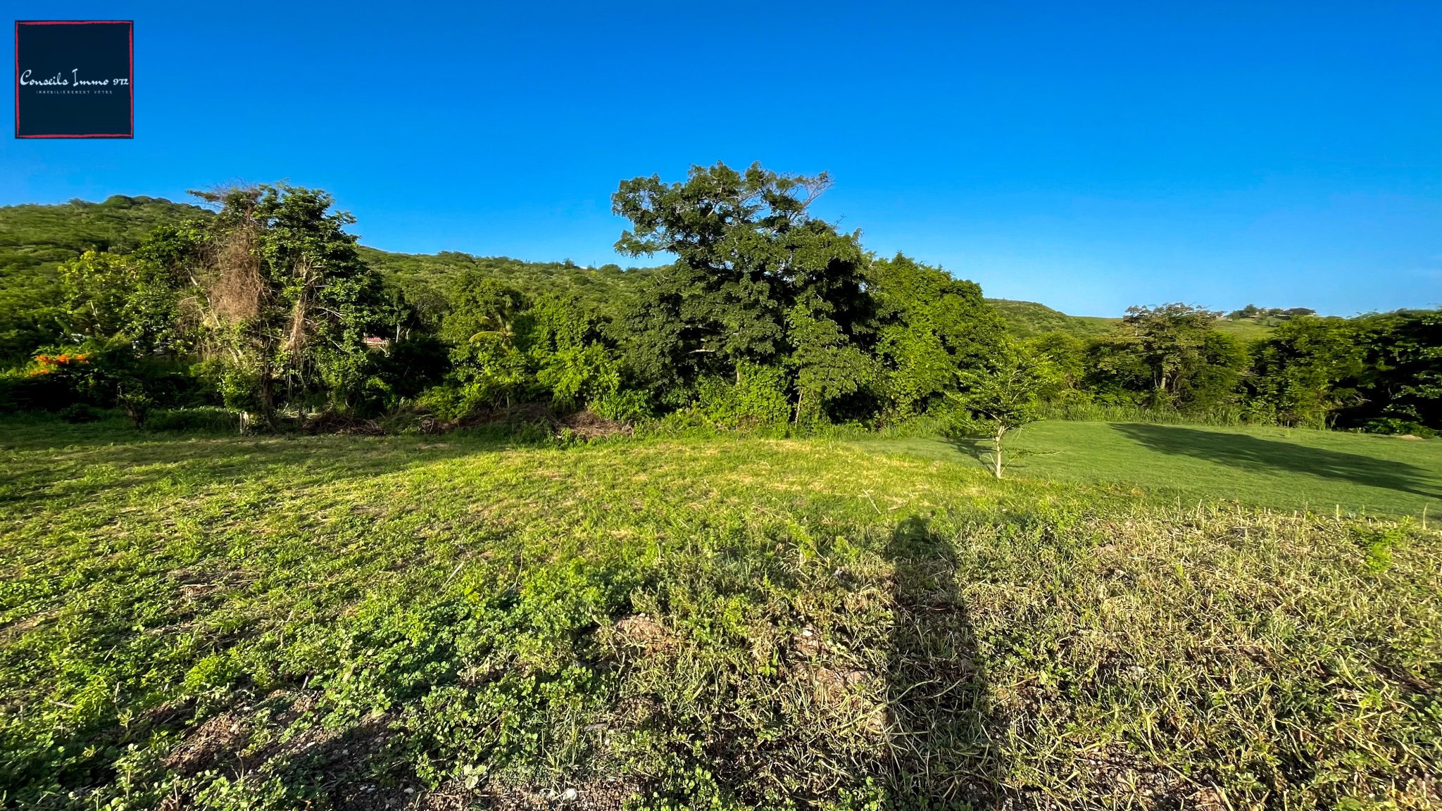Terrain de 1090m2 à vendre - Sainte-Anne — photo 3