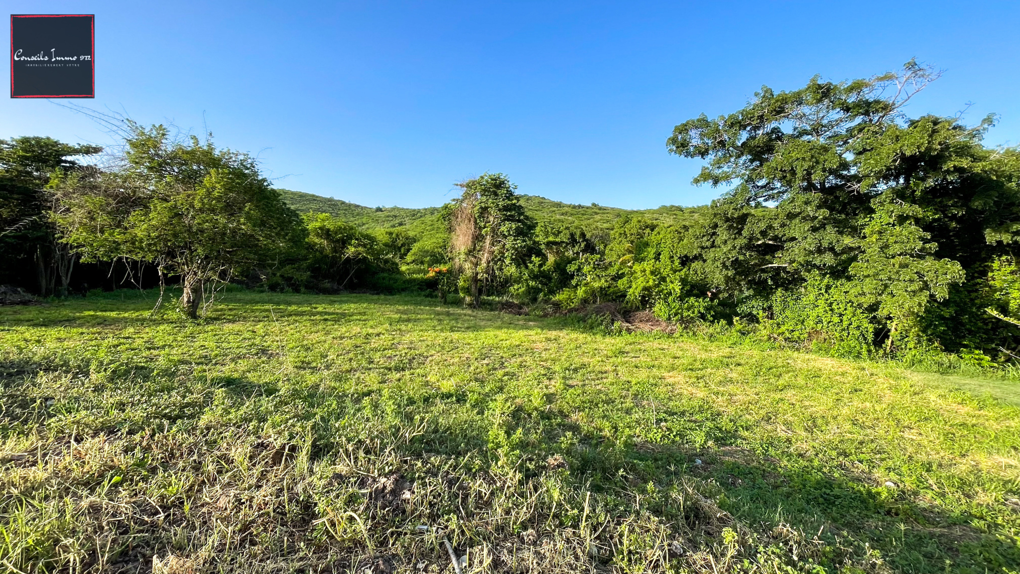 Terrain de 1090m2 à vendre - Sainte-Anne — photo 7