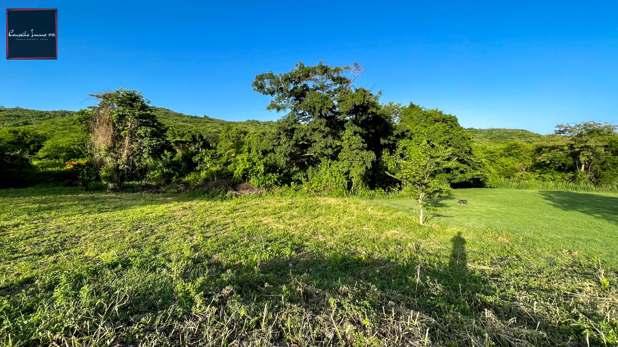 Terrain de 1090m2 à vendre - Sainte-Anne — photo 4