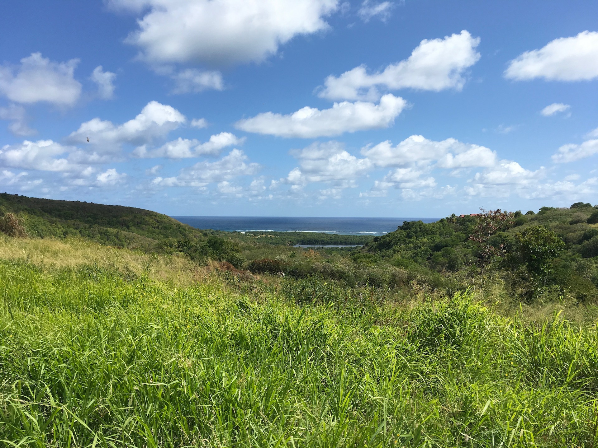 Terrain à bâtir - Lotissement à Cap Macré - Le MARIN — photo 2