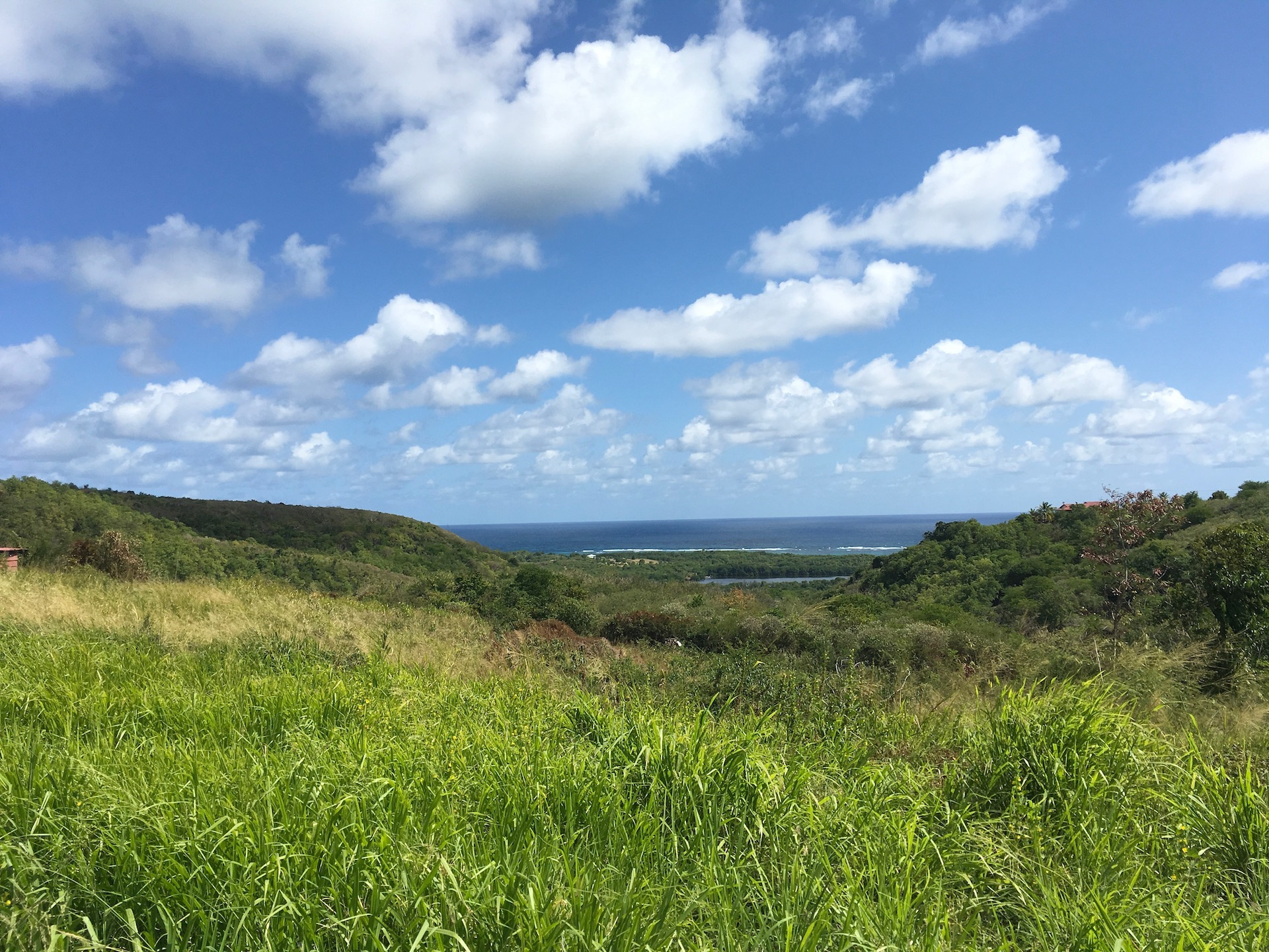 Terrain à bâtir - Lotissement à Cap Macré - Le MARIN — Le Marin