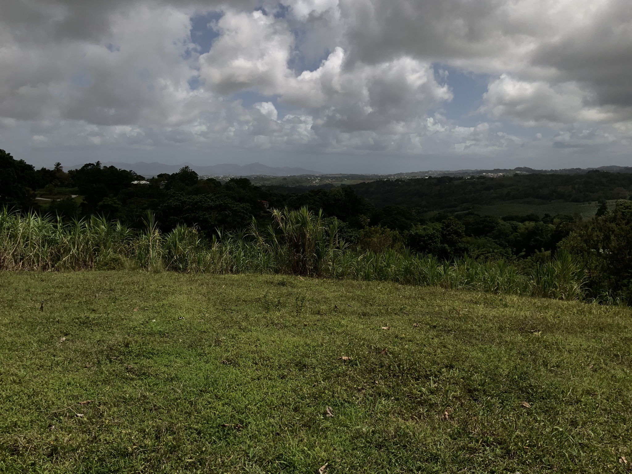 À Gros-Morne, terrain de 579m2 en vente 63690 EUR — photo 5