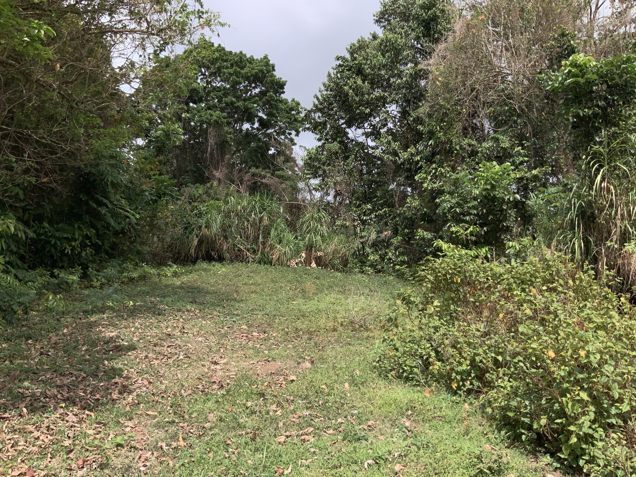 À Gros-Morne, terrain de 579m2 en vente 63690 EUR — photo 3