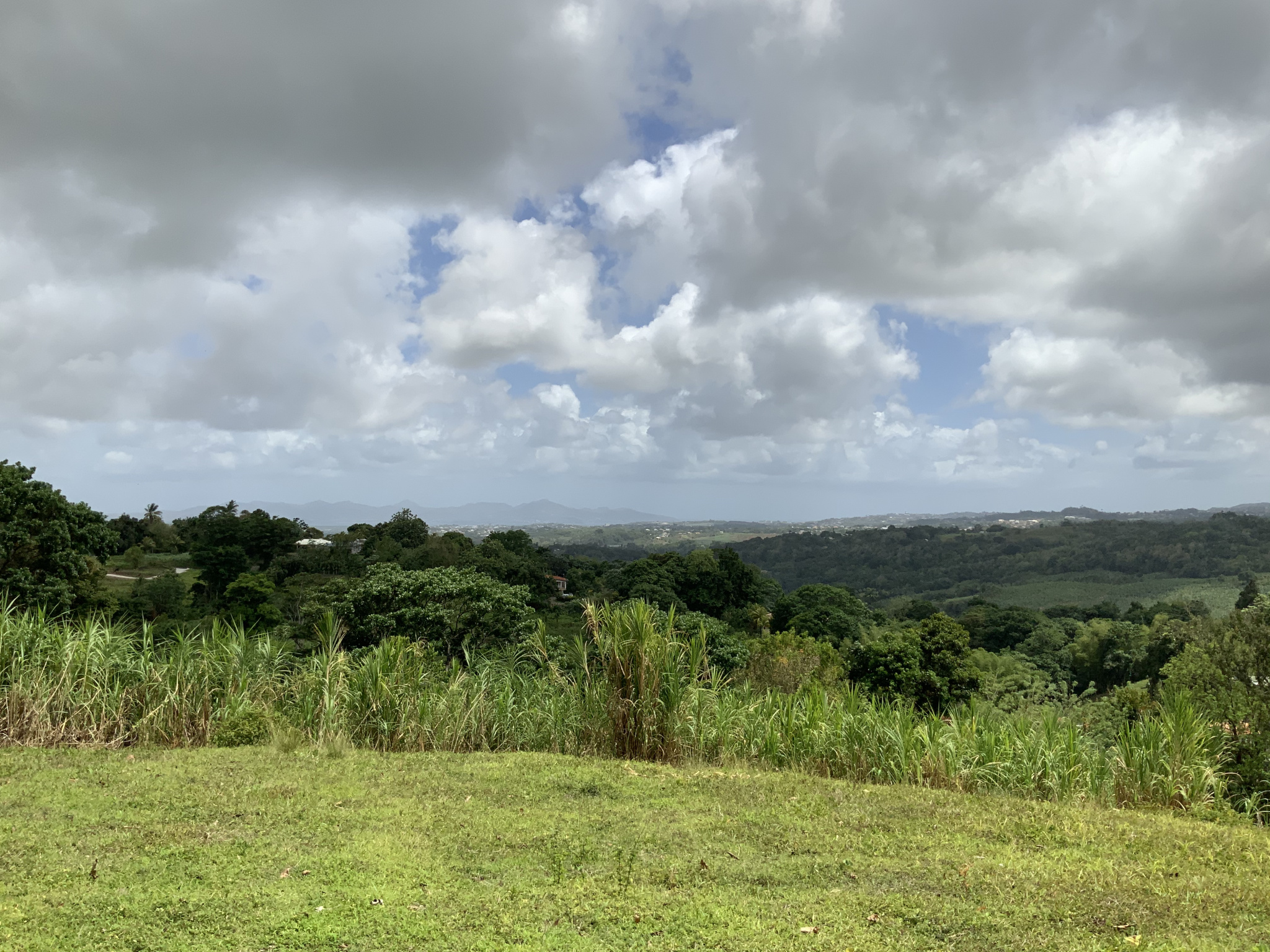 À Gros-Morne, terrain de 579m2 en vente 63690 EUR — photo 7