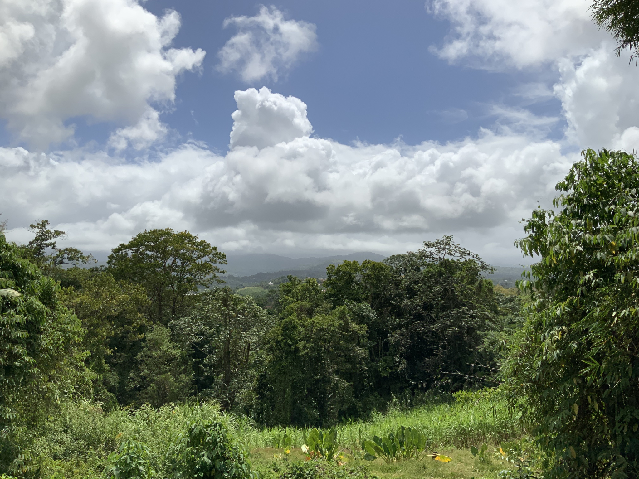 À Gros-Morne, terrain de 579m2 en vente 63690 EUR — photo 8