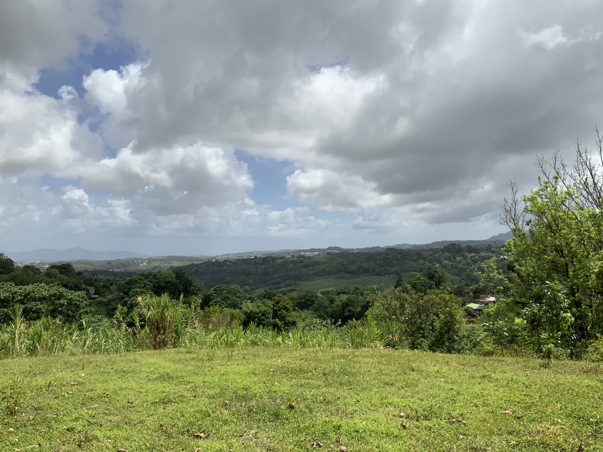 À Gros-Morne, terrain de 579m2 en vente 63690 EUR — photo 6