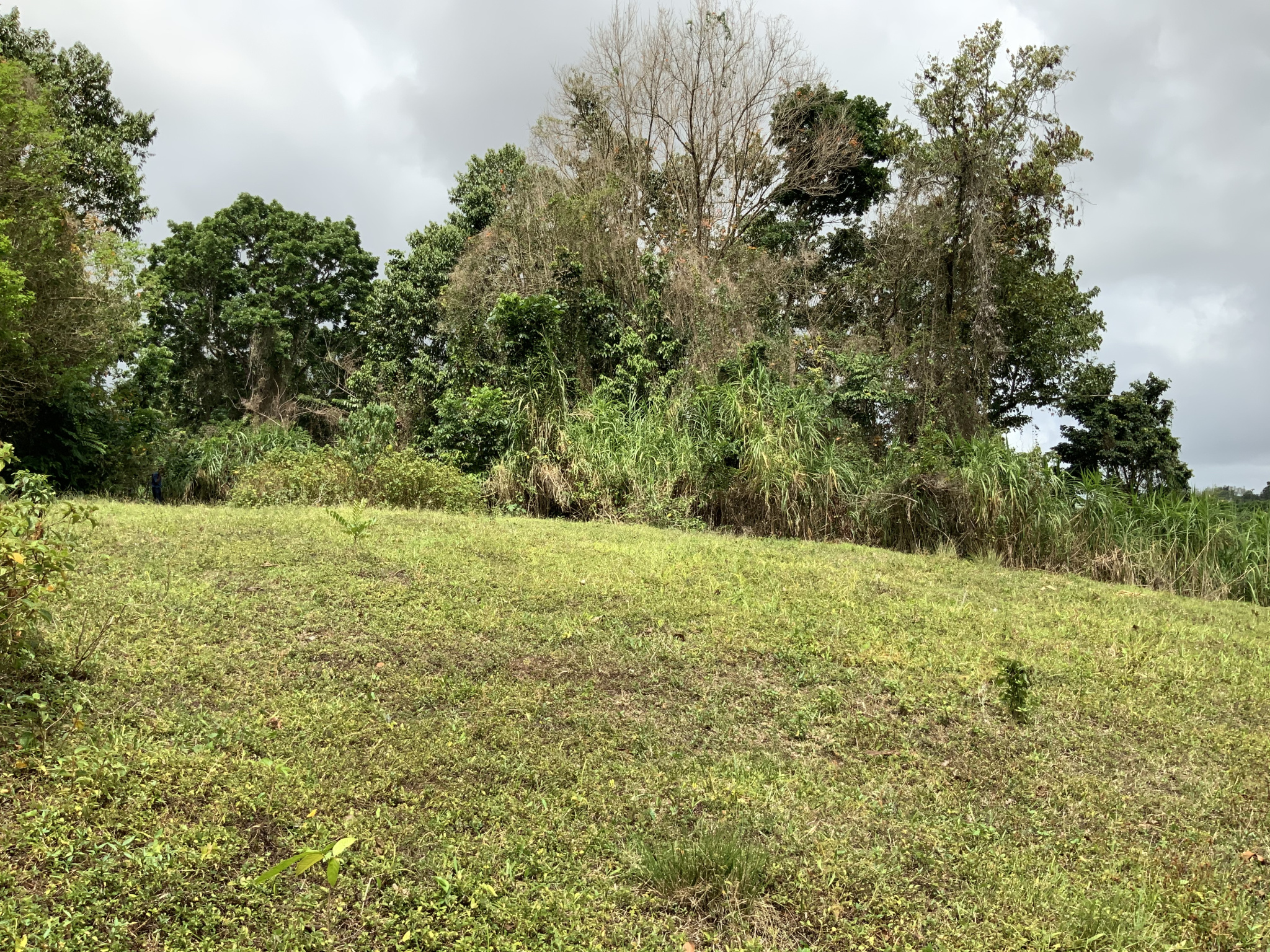 À Gros-Morne, terrain de 579m2 en vente 63690 EUR — photo 2
