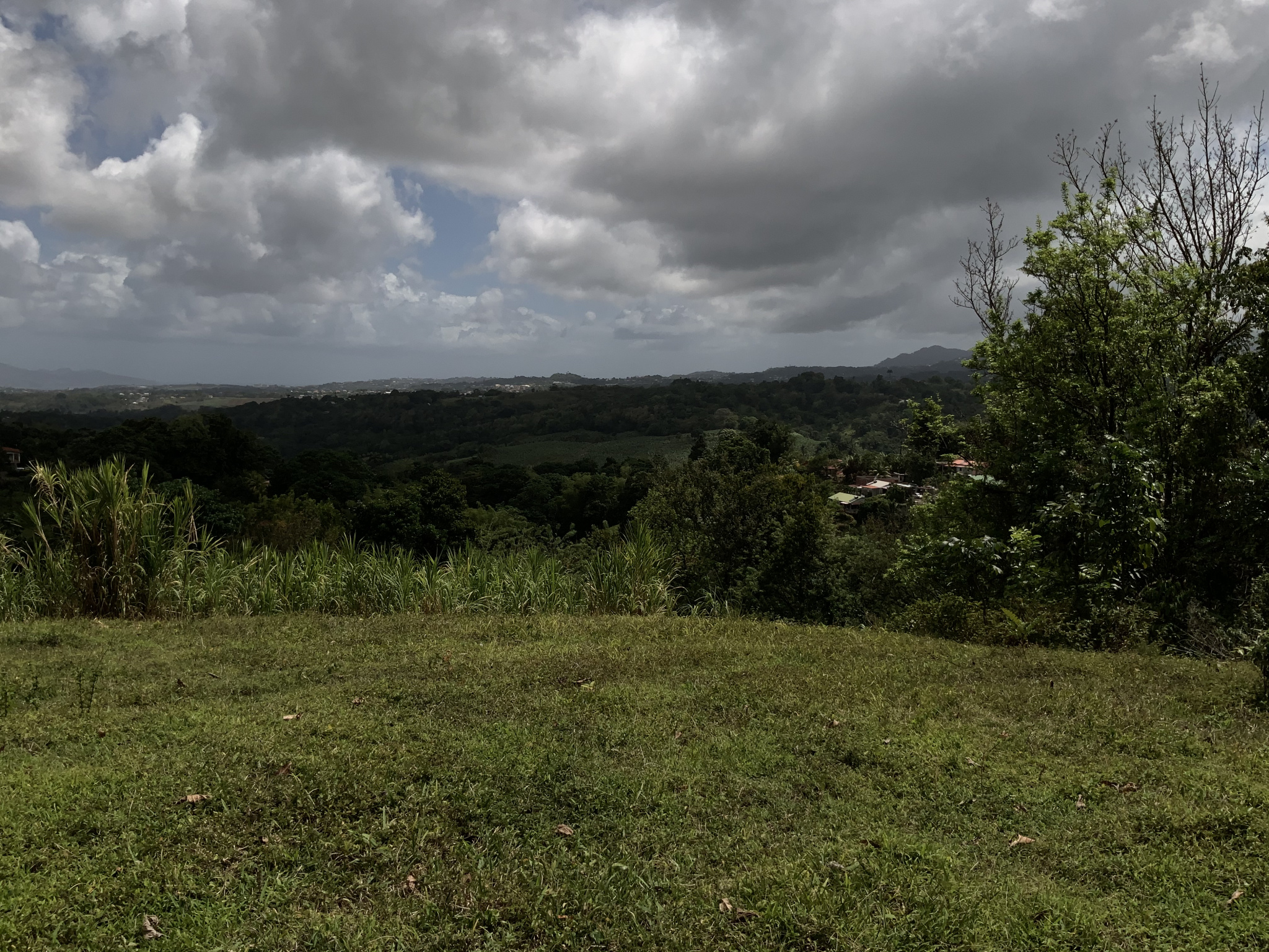 À Gros-Morne, terrain de 579m2 en vente 63690 EUR — photo 4