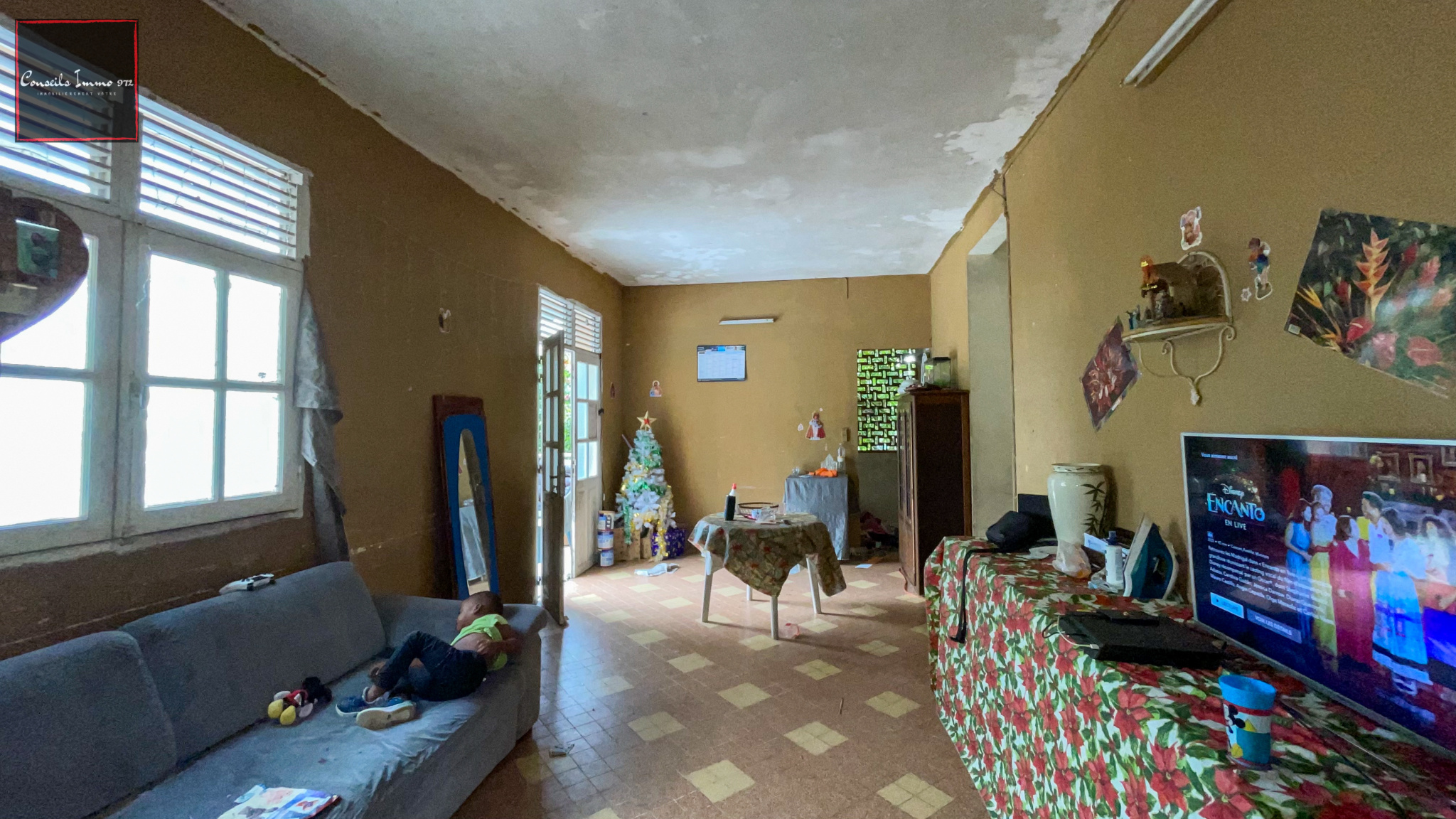 Vente Immeuble de Rapport à Rivière-Pilote, Martinique - Opp — photo 7