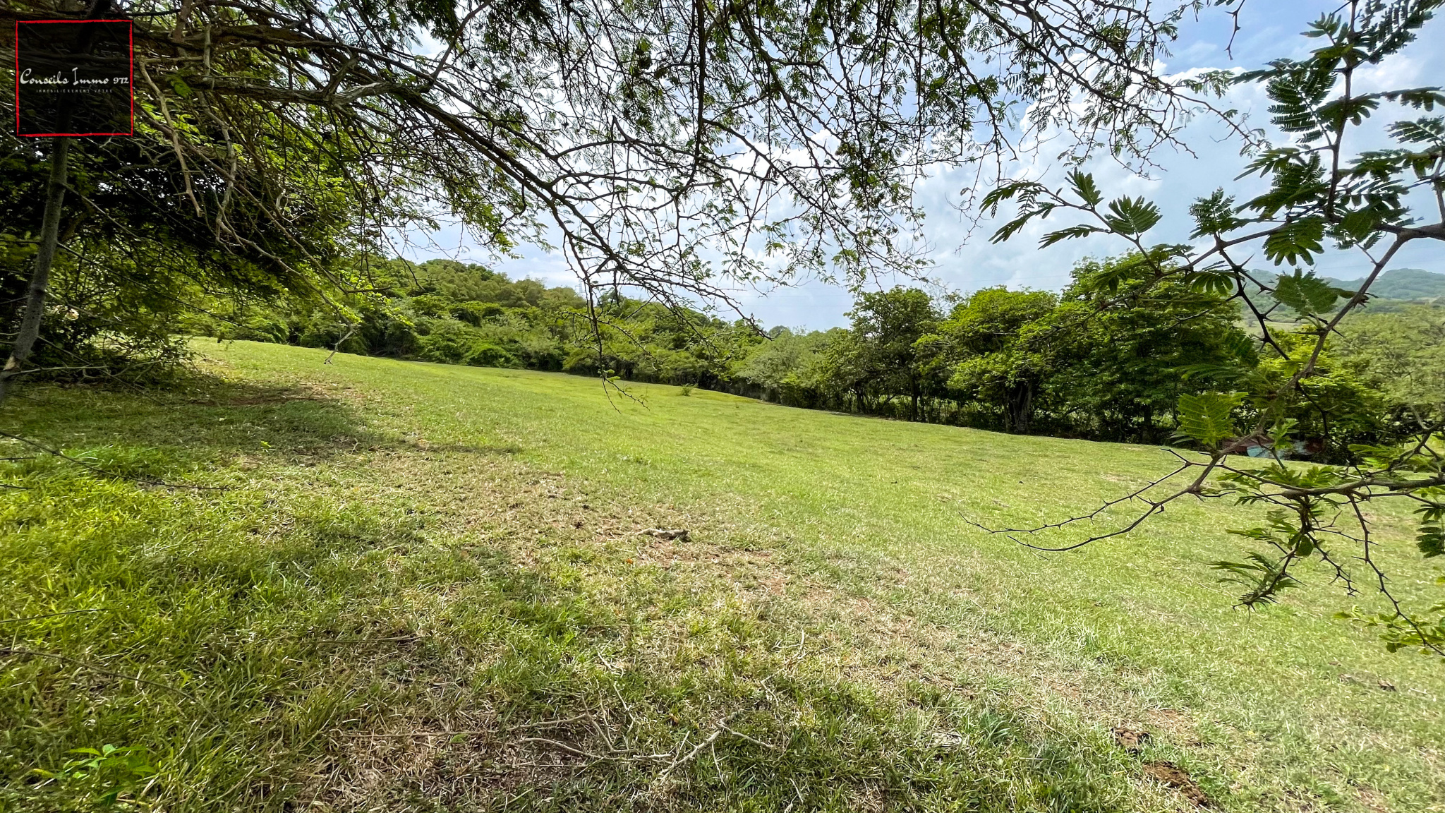 Terrain à bâtir au Vauclin - 16 362 m2 - Idéal pour lotisseu — Le Vauclin