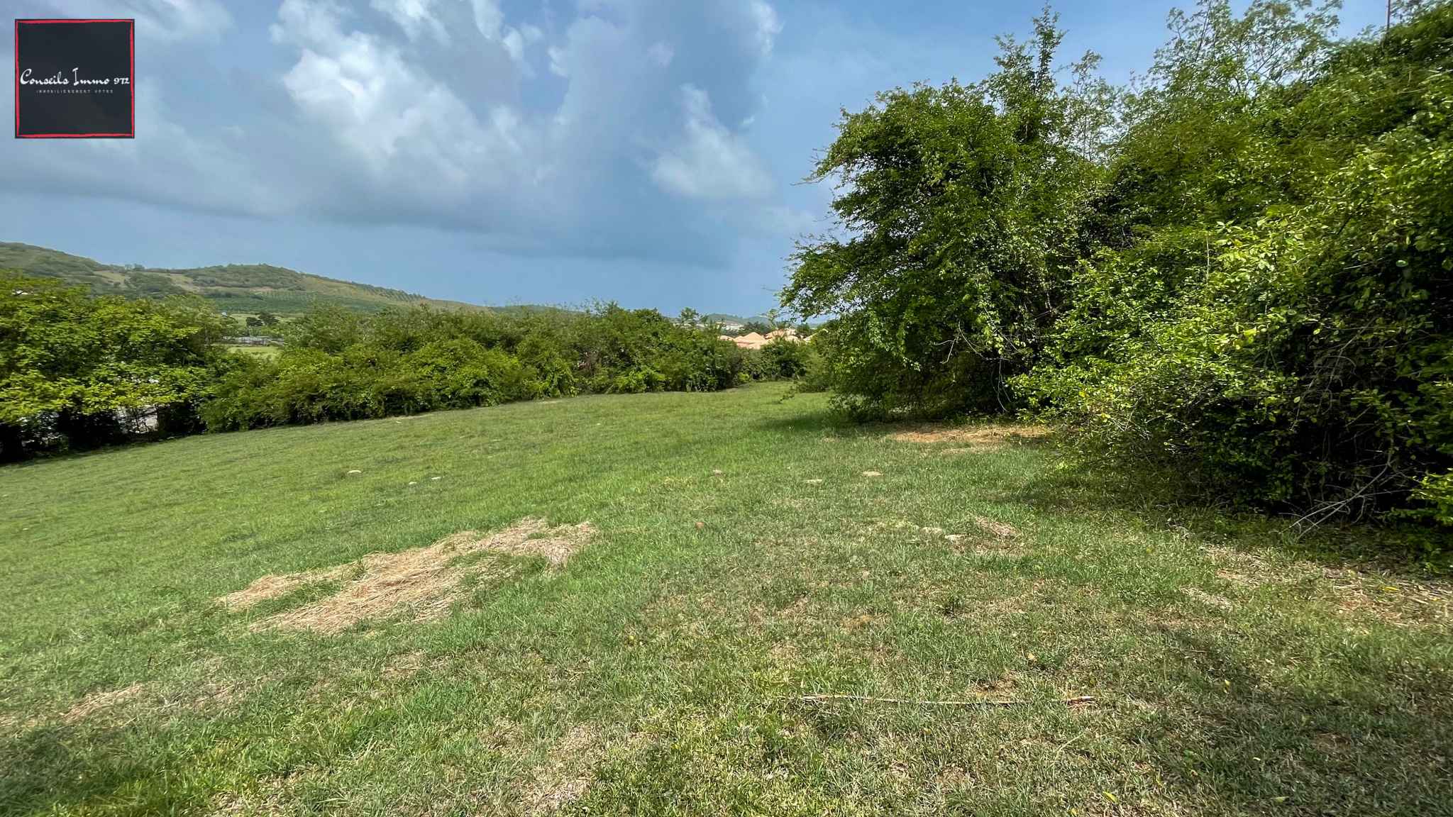 Terrain à bâtir au Vauclin - 16 362 m2 - Idéal pour lotisseu — photo 6