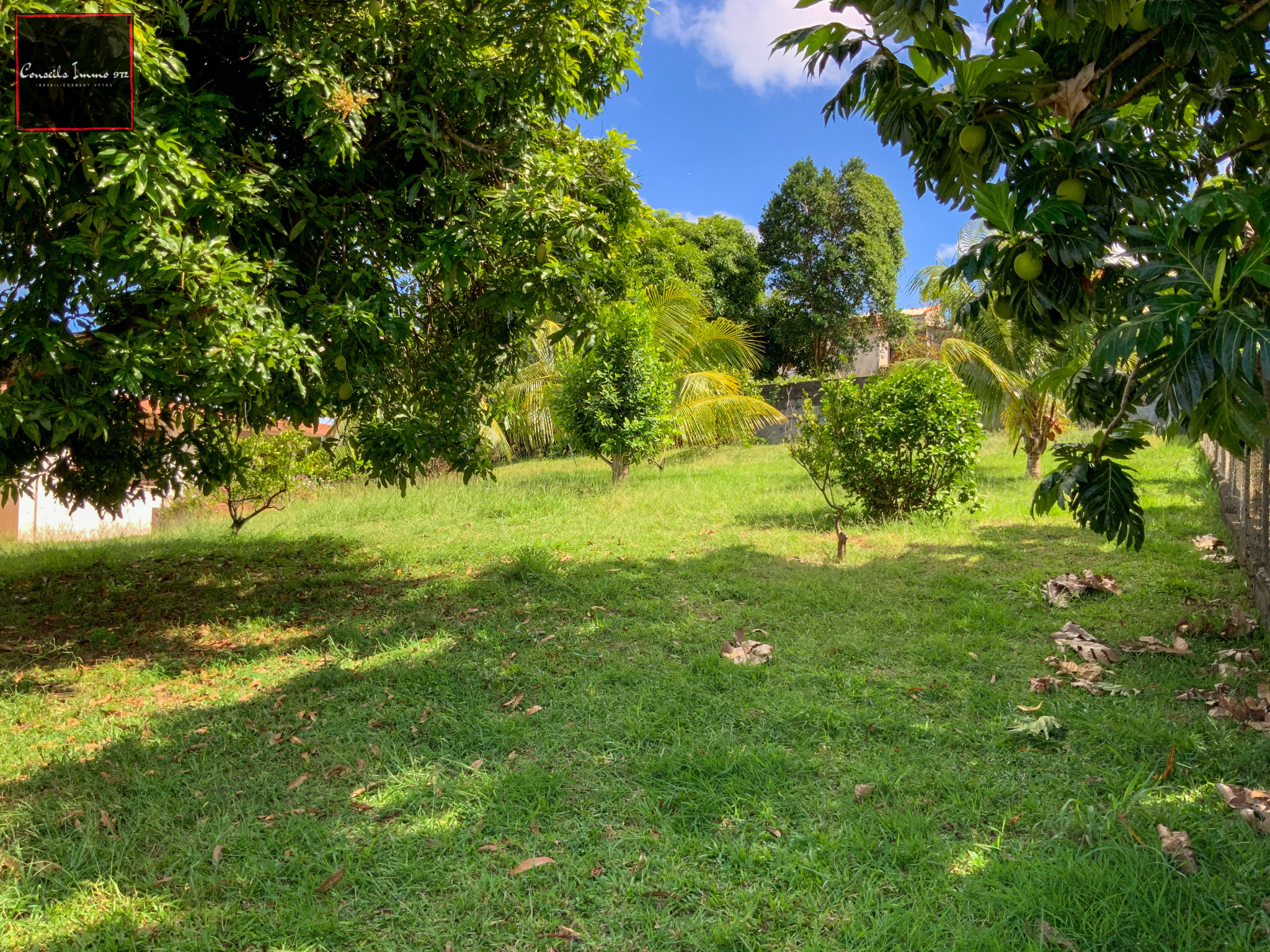 À Ducos, Villa F5 de 147 m2 et jardin de 1 110 m2 en vente — photo 6