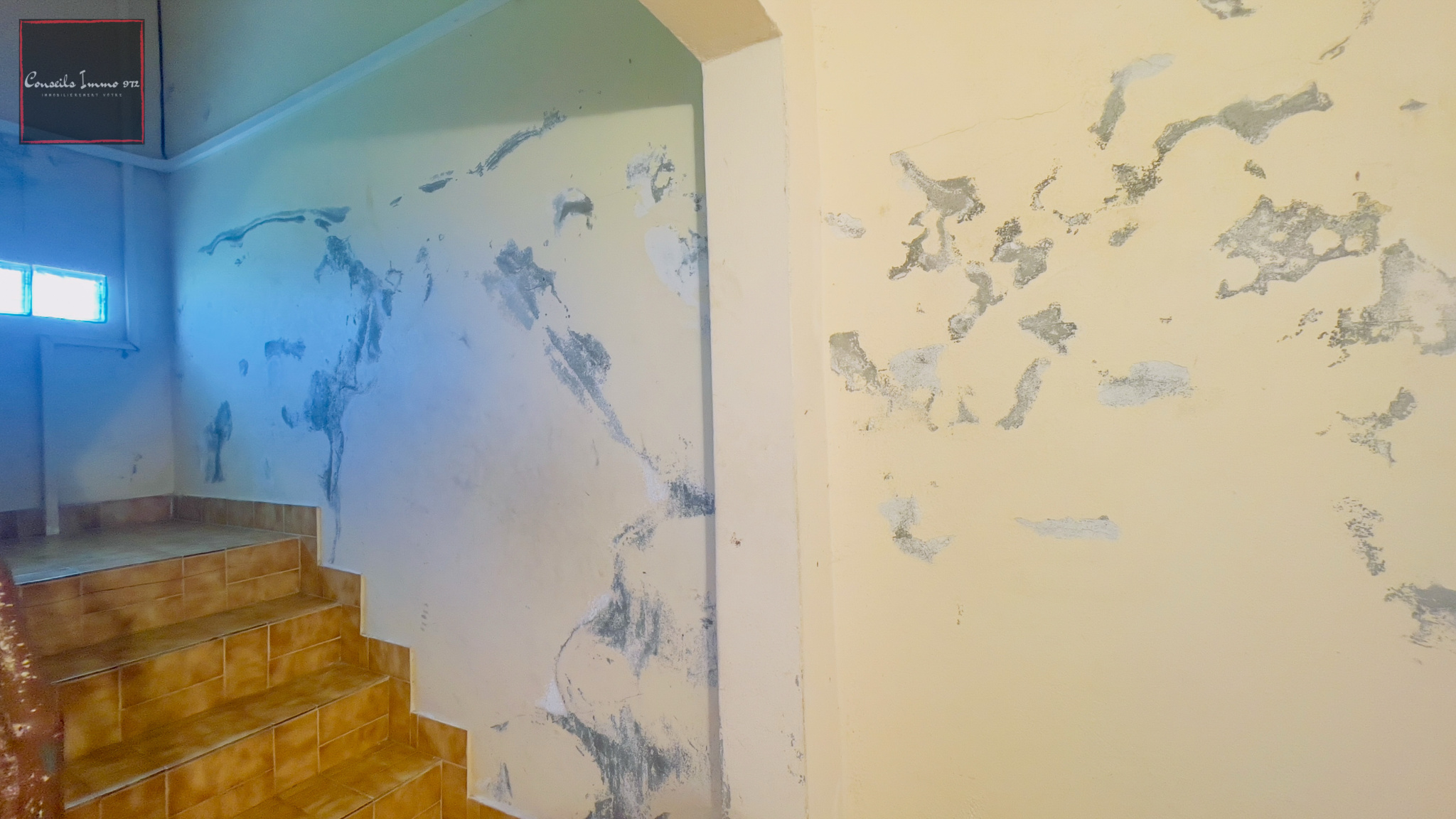 À vendre : Immeuble de rapport loué - Gros-Morne — photo 6