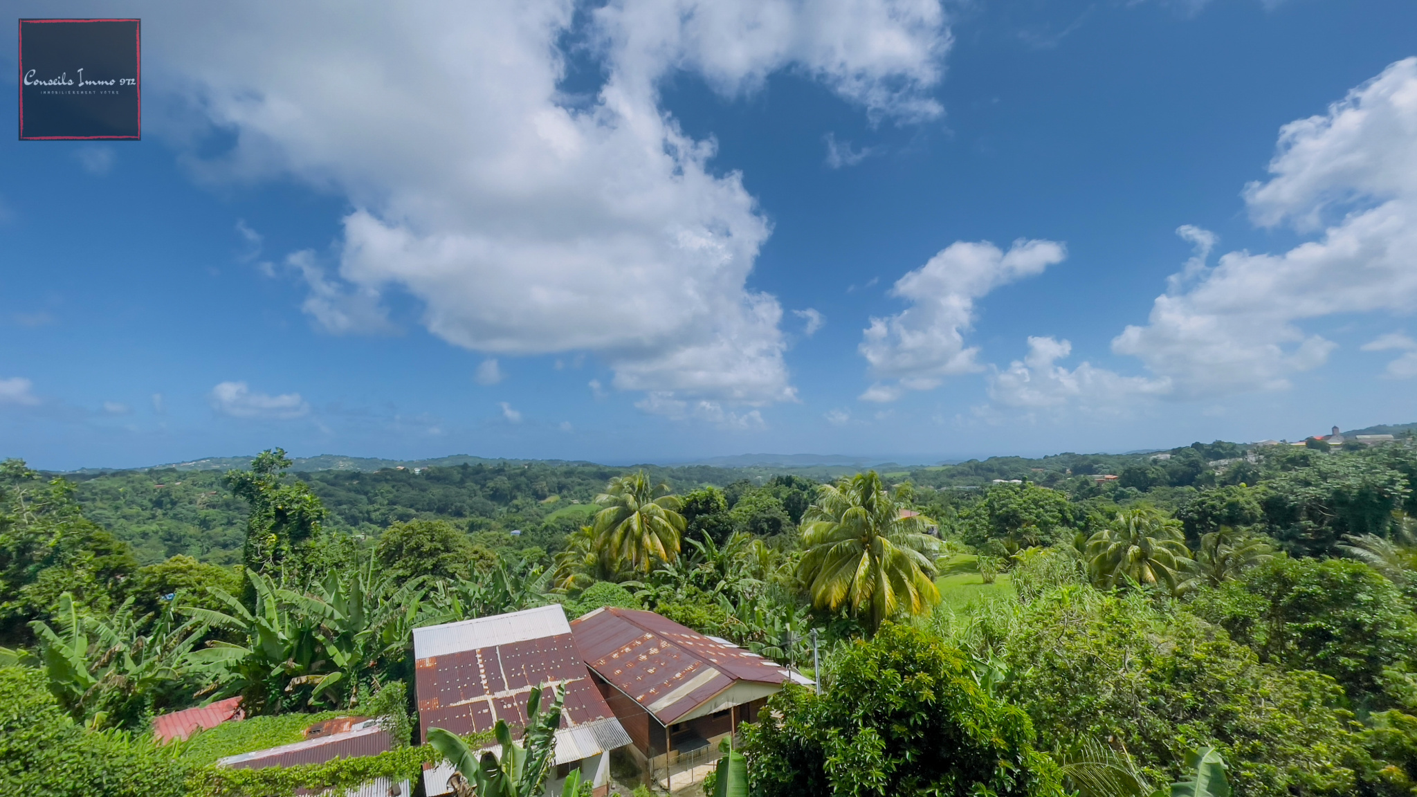 À vendre : Immeuble de rapport loué - Gros-Morne — photo 5