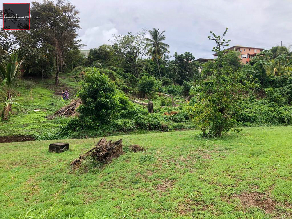 Terrain de 1000m2 en vente à Ducos — photo 2