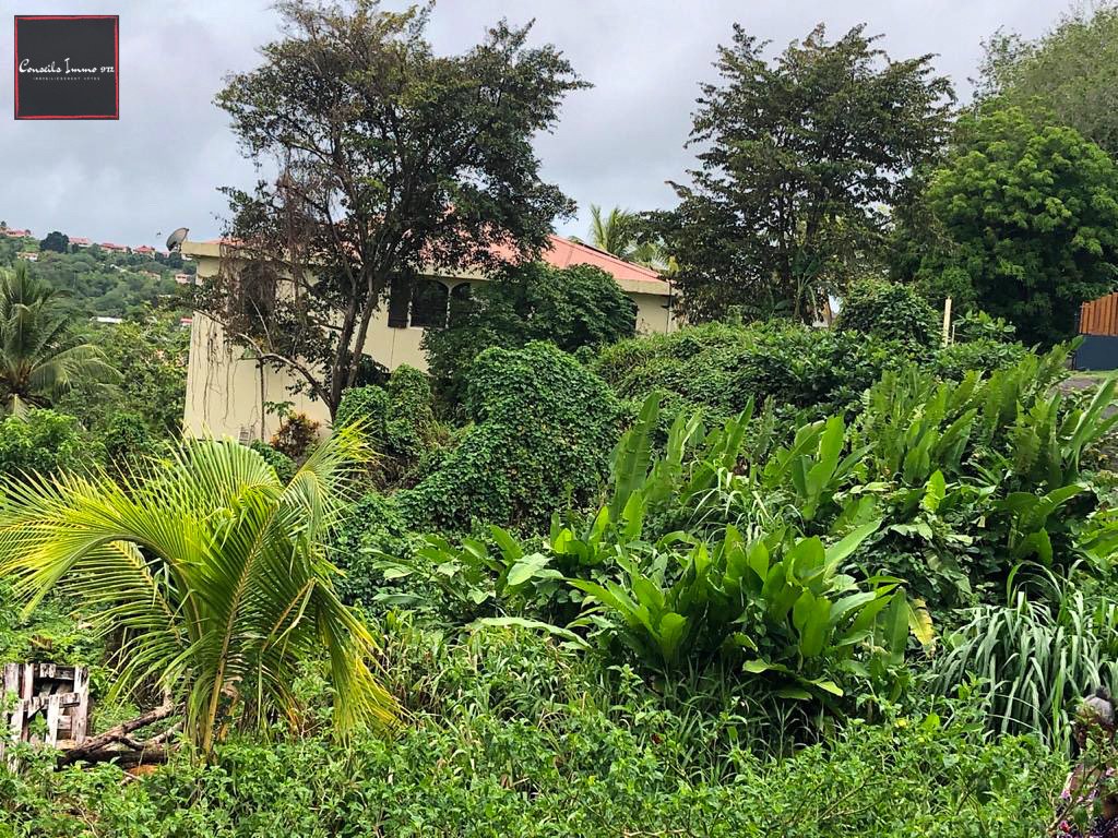 Terrain de 1000m2 en vente à Ducos — photo 4