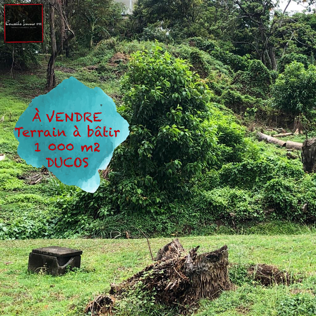 Terrain de 1000m2 en vente à Ducos — photo 6