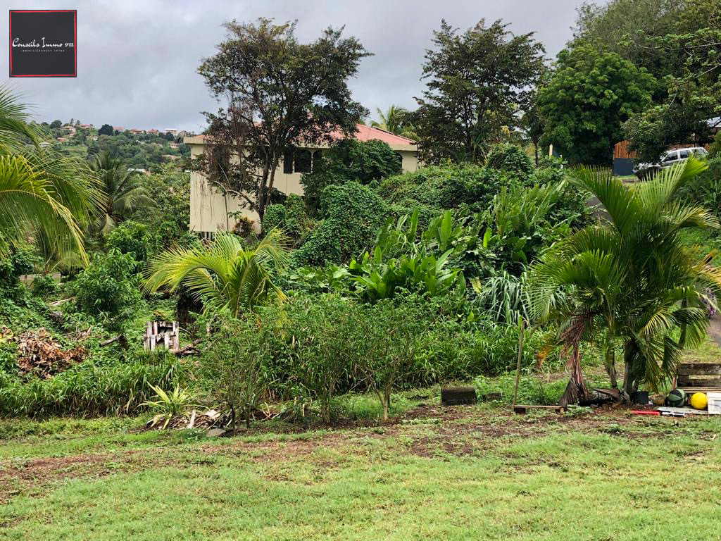 Terrain de 1000m2 en vente à Ducos — photo 5
