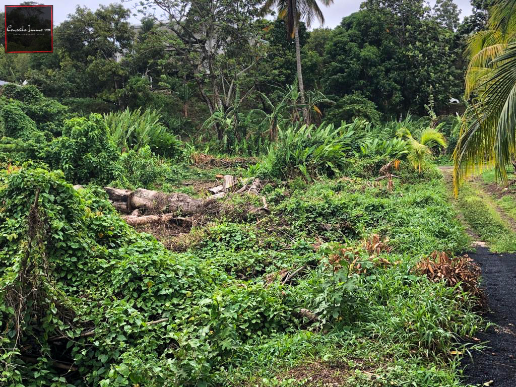 Terrain de 1000m2 en vente à Ducos — photo 3