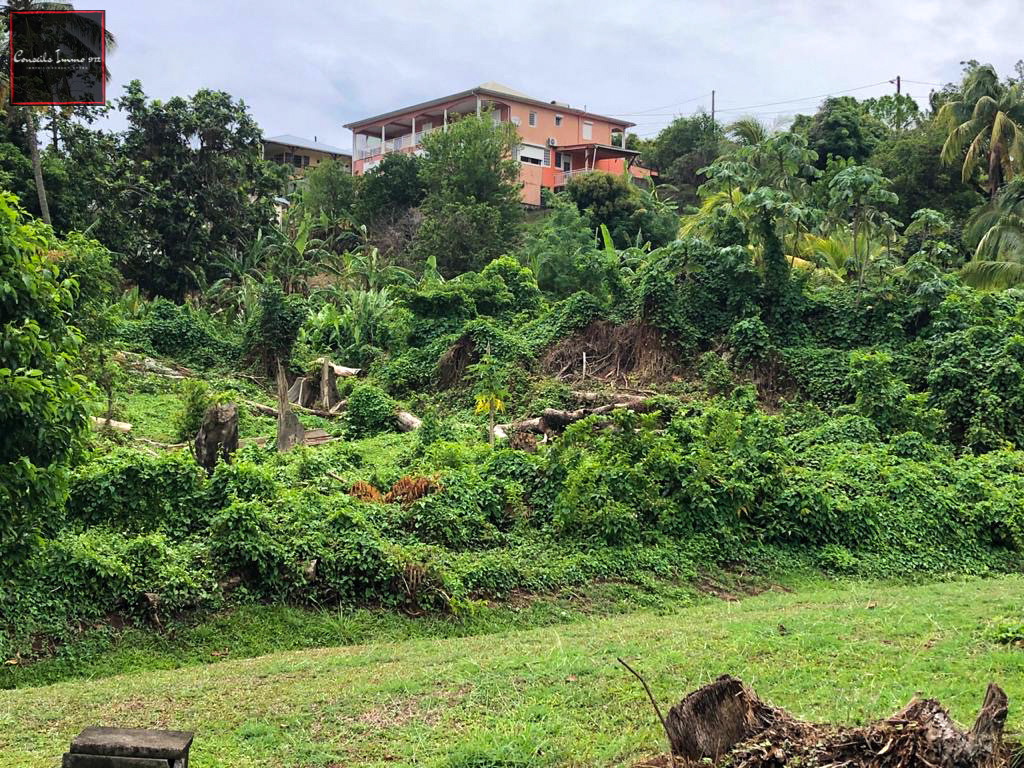 Terrain de 1000m2 en vente à Ducos — photo 7
