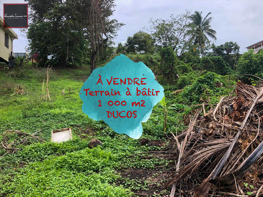Terrain de 1000m2 en vente à Ducos — photo 8