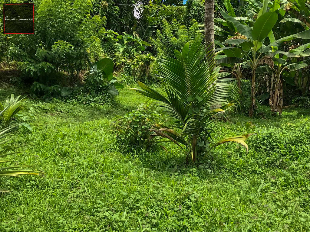 Gros-Morne - À vendre terrain de 641m2 — photo 3