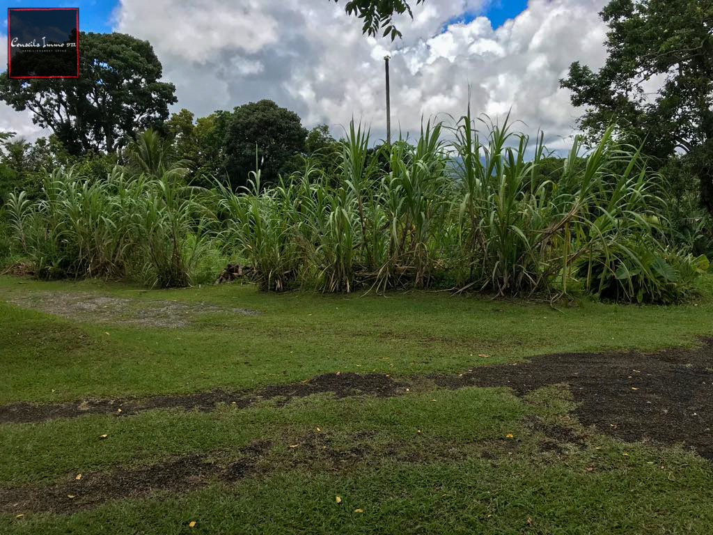 Gros-Morne - À vendre terrain de 641m2 — photo 2