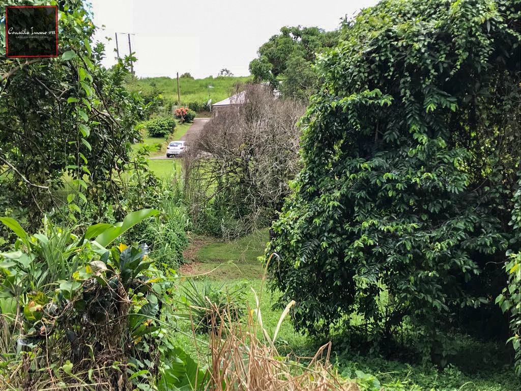 Gros-Morne - À vendre terrain de 641m2 — photo 7
