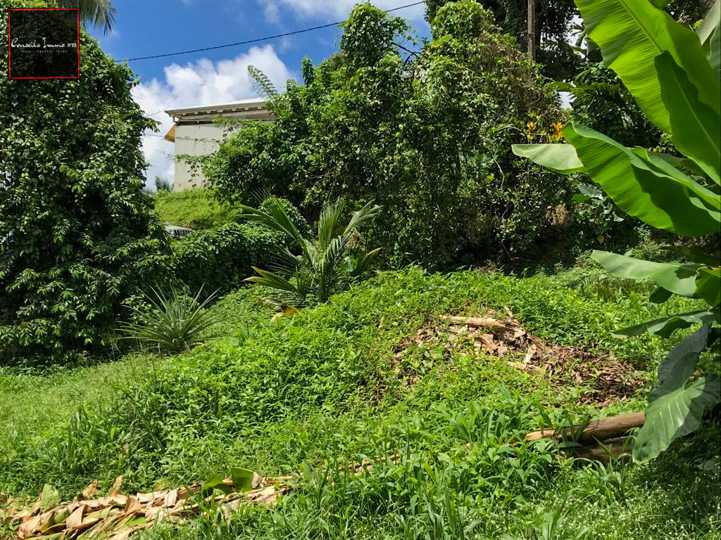 Gros-Morne - À vendre terrain de 641m2 — photo 8
