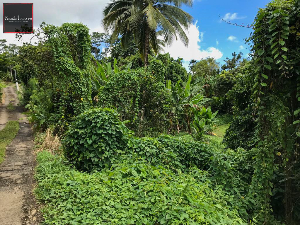 Gros-Morne - À vendre terrain de 641m2 — Gros-Morne